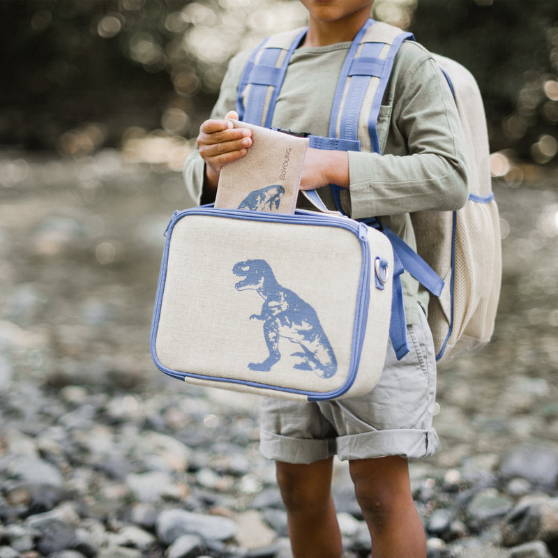Blue Dino Grade School Backpack – SoYoung USA