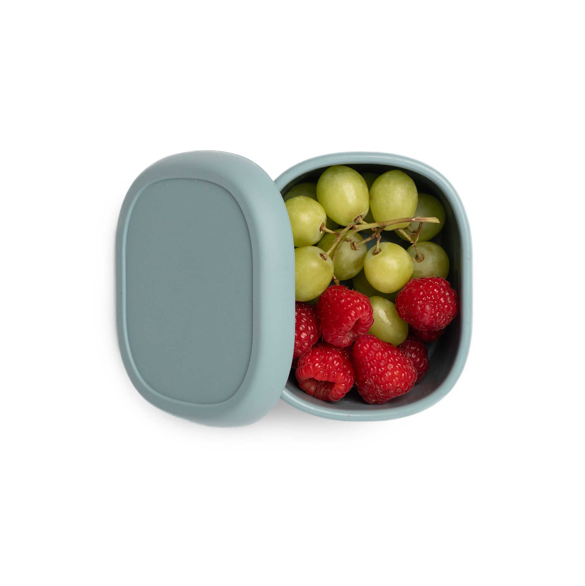 Slate Blue Snack Box - Medium