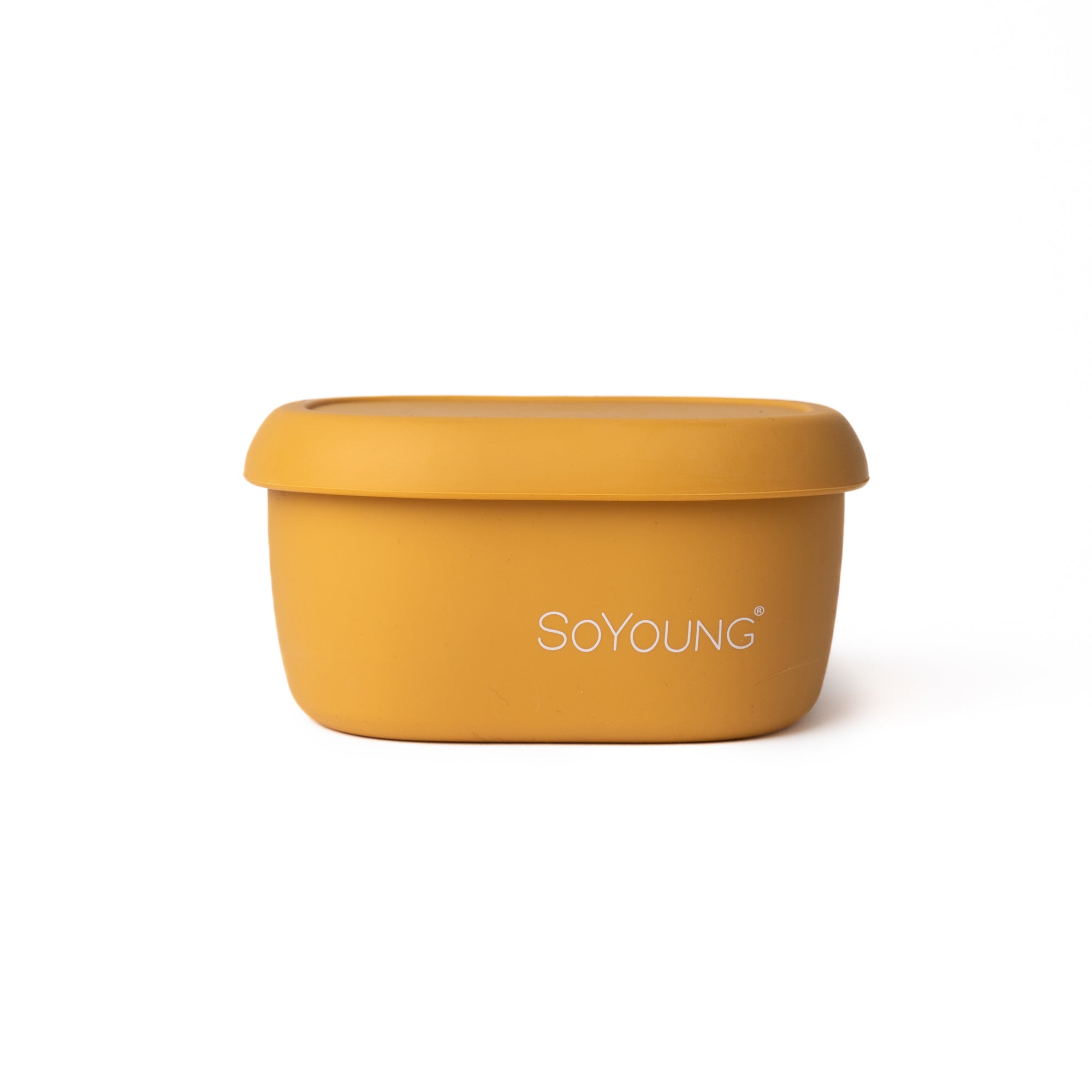 Mustard Snack Box - Medium